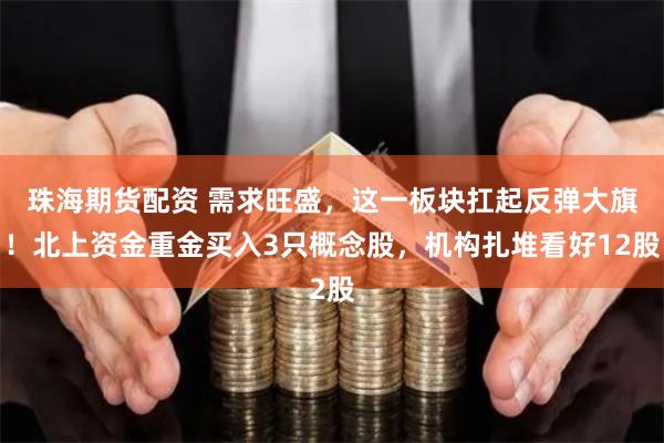珠海期货配资 需求旺盛，这一板块扛起反弹大旗！北上资金重金买入3只概念股，机构扎堆看好12股