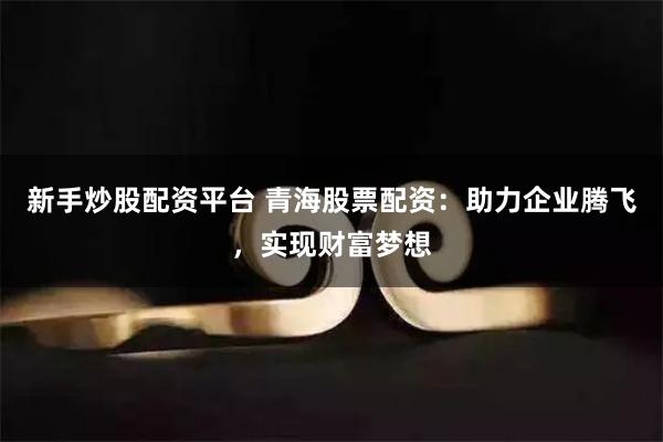 新手炒股配资平台 青海股票配资：助力企业腾飞，实现财富梦想